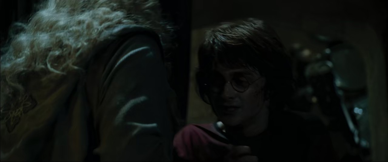 Harry Potter and the Goblet of Fire (2005) BluRay Hindi + English 720p 10bit HEVC HE-AAC 5.1 ESub.mkv.0006